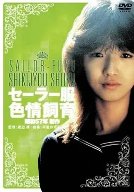 黄土地 1984 剧情片 手机端修复观看
